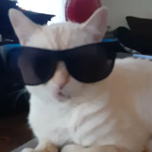 comment user avatar