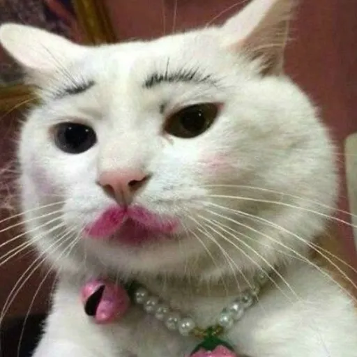 creator Ur mom is hot😻🫶's avatar
