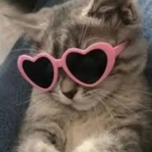 creator MISSALEX_IDK's avatar