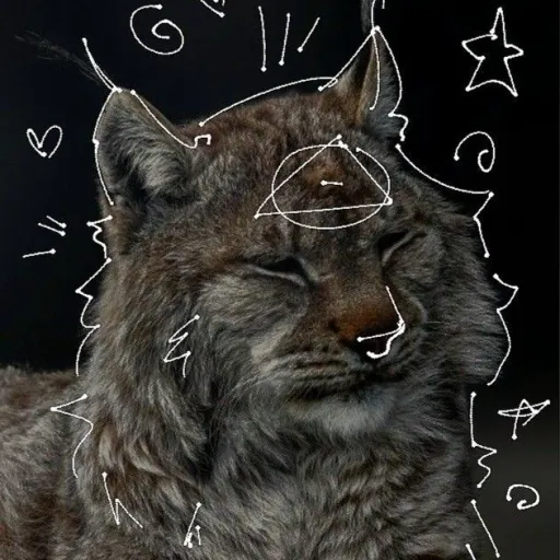 creator ★•Silly<3•★'s avatar