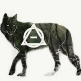 creator Gray wolf 6468's avatar