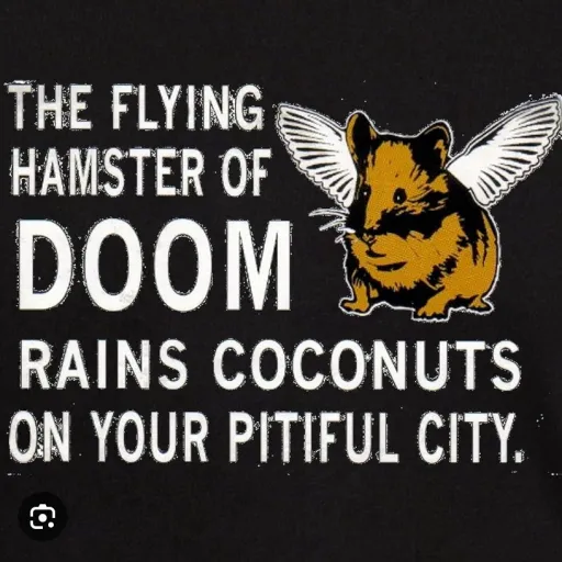 creator The flying hamster's avatar