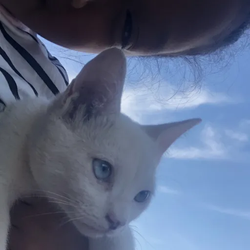 creator Emma Gurrola's avatar