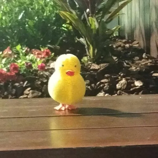 creator CHICKIDY's avatar