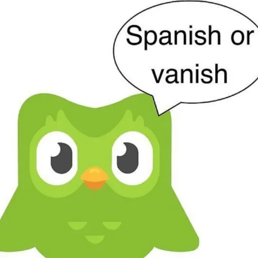 creator #DUOLINGO's avatar