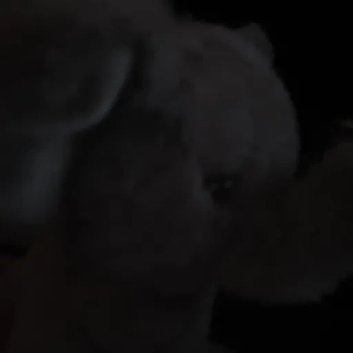 creator FAZAIKILLTHENANY's avatar