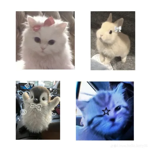 creator Tinky winky ;)'s avatar