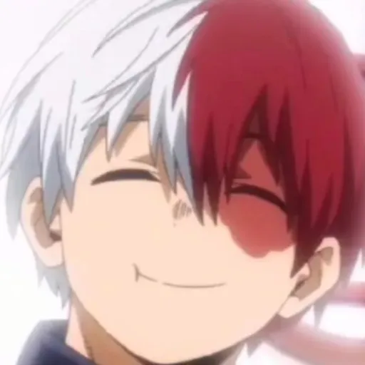creator ❤️todoroki_lover🩵's avatar