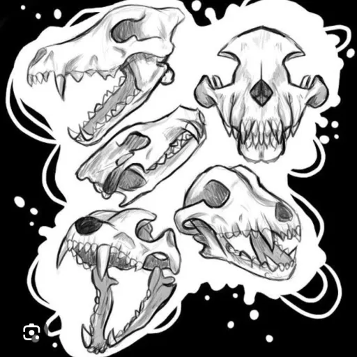 creator 《♧Wolf Skull♤》's avatar
