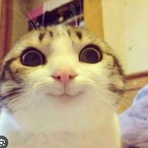 creator hiiiiiiiiiiiii :3's avatar