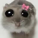 creator Scary RaT👺's avatar