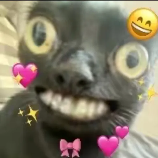 creator ◦●◉✿𝑽𝒂𝒍✿◉●◦'s avatar