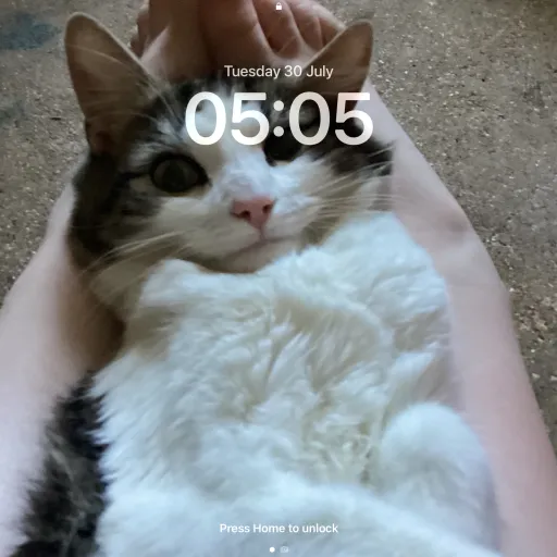creator Catgirl123's avatar