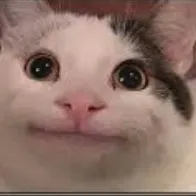 creator hi_im_brain_dead's avatar