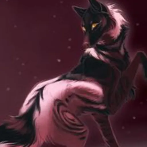 creator Aurora Brooke's avatar
