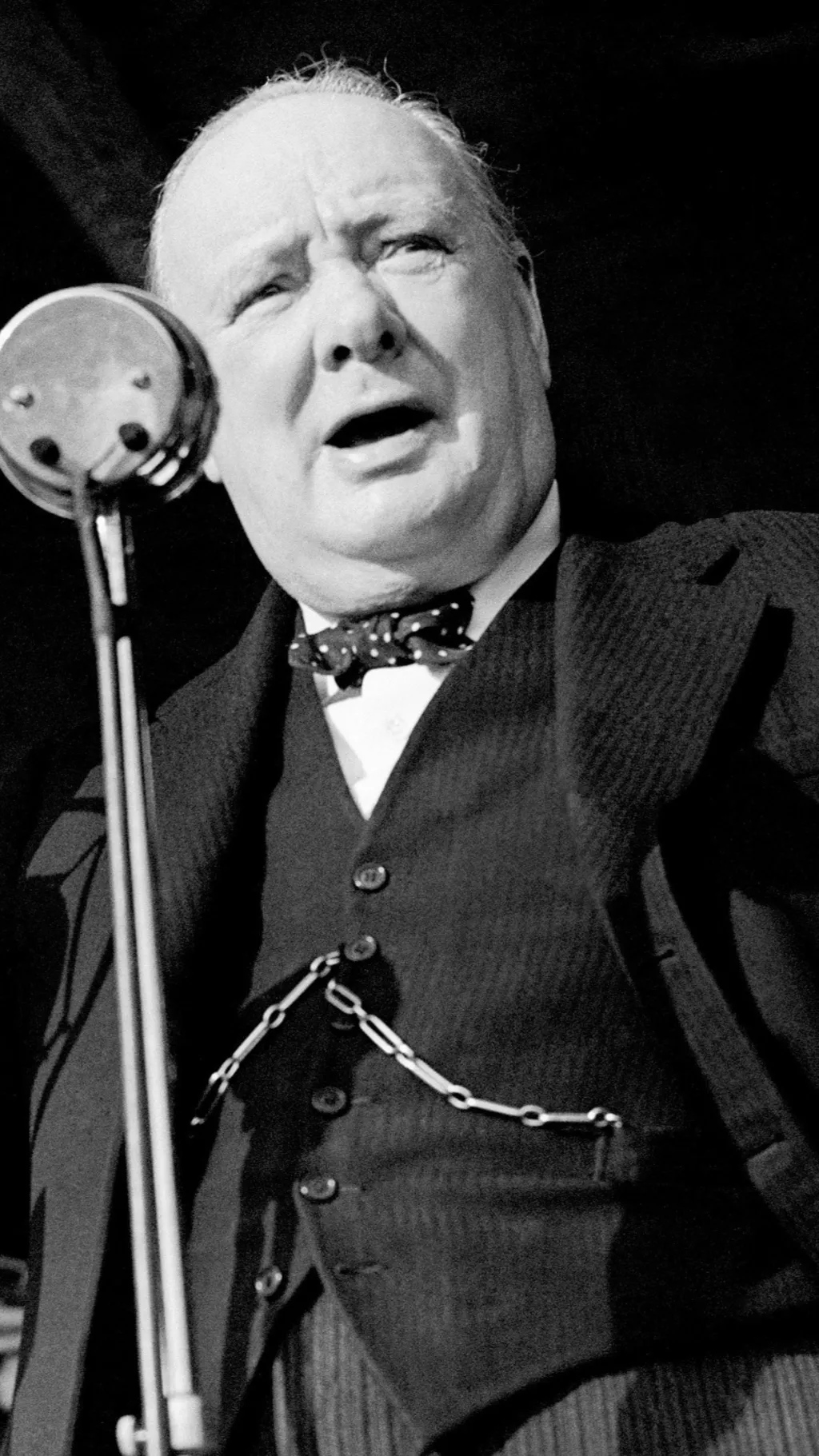 ai character: Winston Churchill background