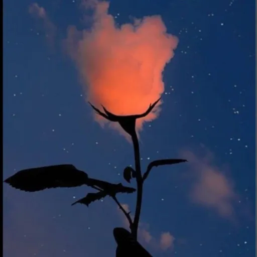 creator #Alaska's avatar