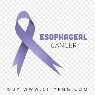 creator Lupal🌹🎗️'s avatar