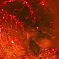 chat with ai character: Godzilla:kotm