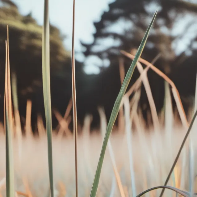 chat with ai character: grASS
