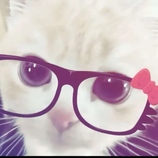 creator kittycat28372927's avatar