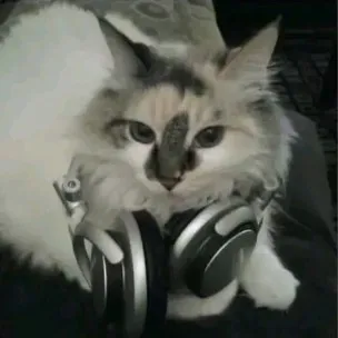 creator Cindy Kay's avatar