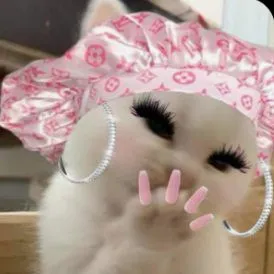creator slay kitty's avatar