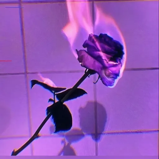 creator Surry364's avatar
