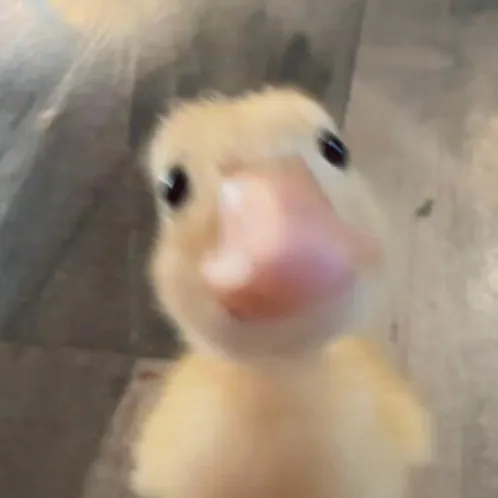 creator seungminswif3's avatar