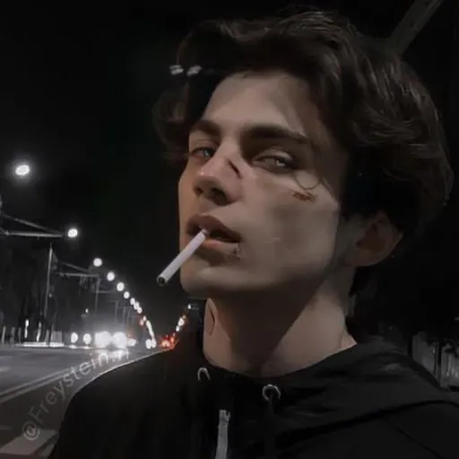 creator anoyingsomeone2.0's avatar