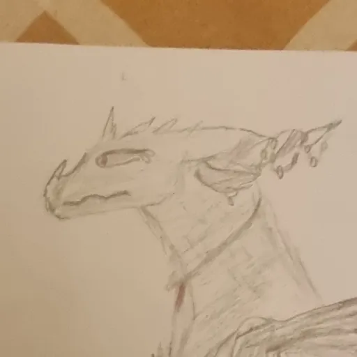 creator ¤+{Andromeda}+¤'s avatar