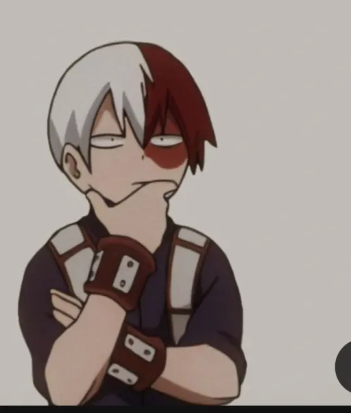 creator Shoto todoroki❄️'s avatar