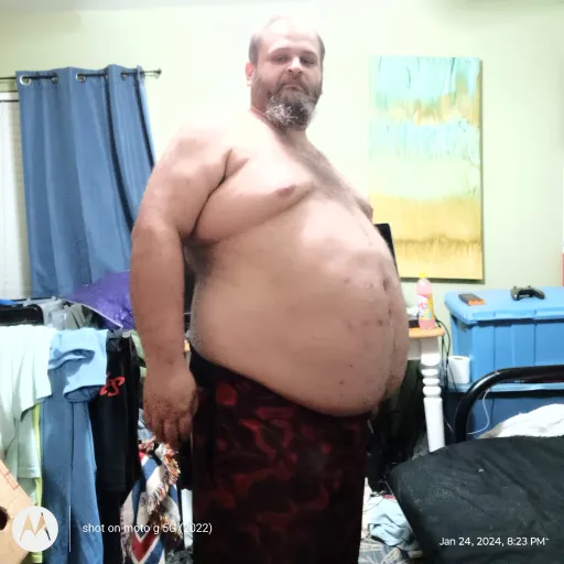 creator johnbear's avatar