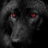 chat with ai character: Past Wolf-ler