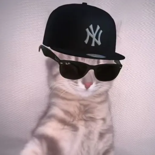 creator Shiny The Fluffy's avatar
