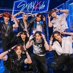 creator IM SKZ MEGA STAY's avatar