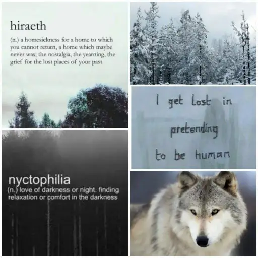 creator therian Black wolf's avatar