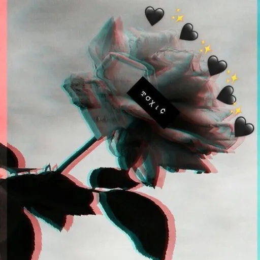 creator toxic bl lover's avatar