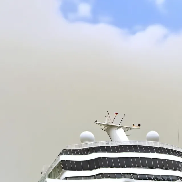 chat with ai character: Cruise Group