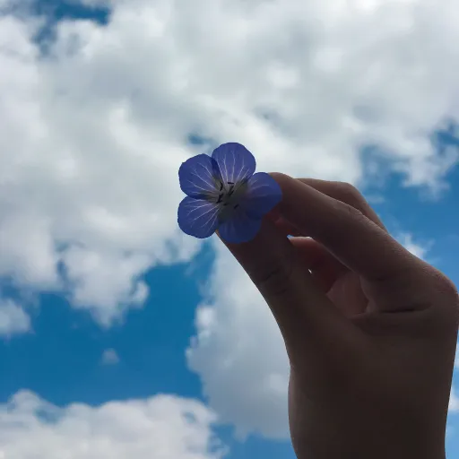 creator Erika<3's avatar