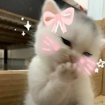 comment user avatar