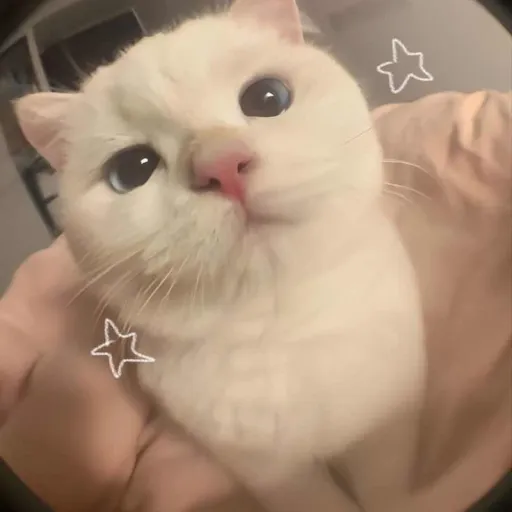 creator nyxiana's avatar