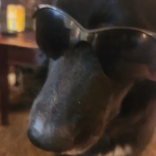creator CannonZero2010's avatar
