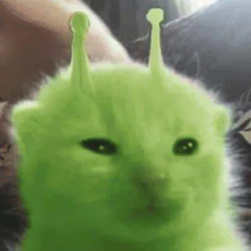 creator alion guy's avatar