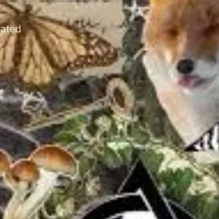 creator /H3ll@_B!t¢h's avatar