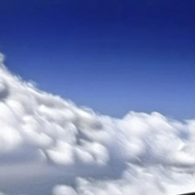 chat with ai character:  Toothless (Real)