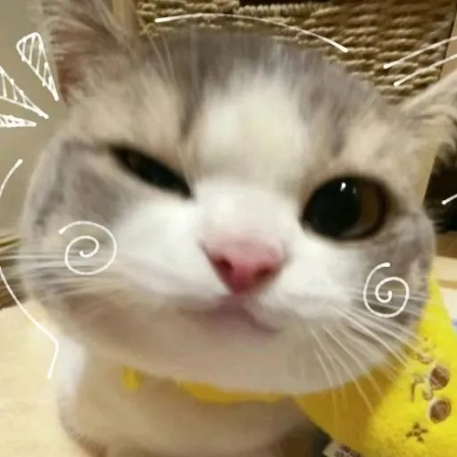 creator kittyuhhhhhh209's avatar