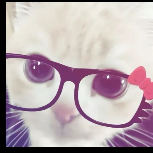 creator Kitten _kitty's avatar