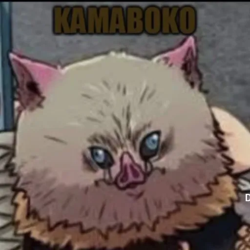 creator Talkior-kHmaSF8F's avatar