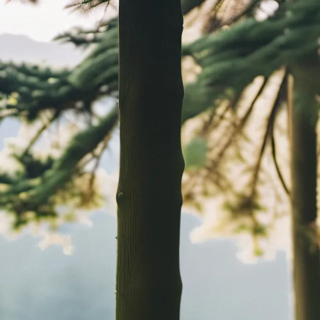 chat with ai character: Mr. Tree and grass